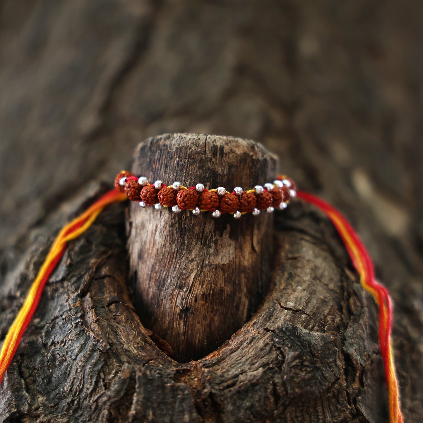 Mahadev Blessings Rudraksh Silver Rakhi